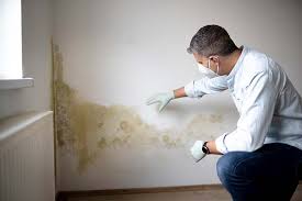 Asbestos and Lead Testing During Mold Inspection in Holliday, TX